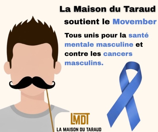 Le Movember est arriv !