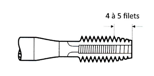 taraud avec entre D la Maison du Taraud